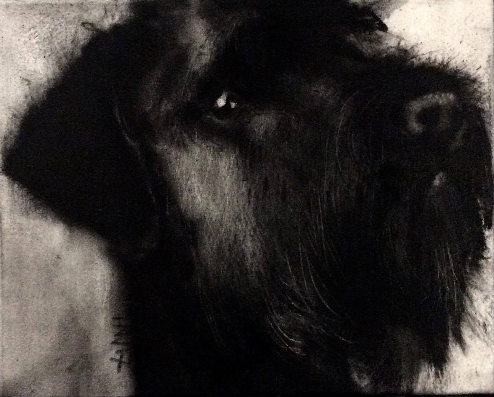 Heidi  Wickham - Black Dog I